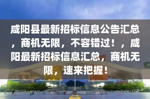 咸陽縣最新招標信息公告匯總，商機無限，不容錯過！，咸陽最新招標信息匯總，商機無限，速來把握！