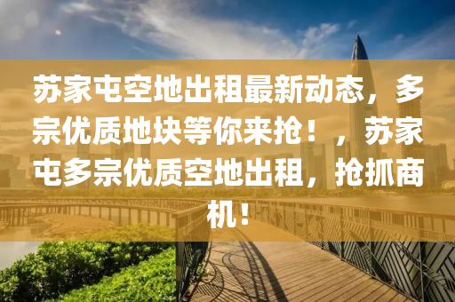 蘇家屯空地出租最新動態(tài)，多宗優(yōu)質(zhì)地塊等你來搶！，蘇家屯多宗優(yōu)質(zhì)空地出租，搶抓商機！