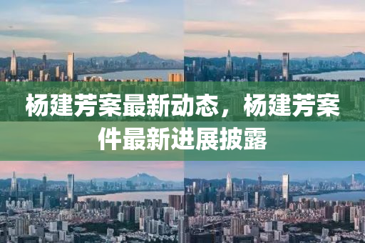 楊建芳案最新動態(tài)，楊建芳案件最新進展披露