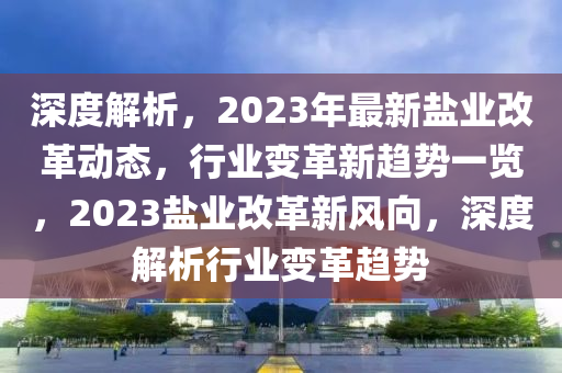 深度解析，2023年最新鹽業(yè)改革動(dòng)態(tài)，行業(yè)變革新趨勢(shì)一覽，2023鹽業(yè)改革新風(fēng)向，深度解析行業(yè)變革趨勢(shì)
