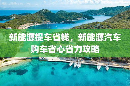 新能源提車省錢，新能源汽車購車省心省力攻略