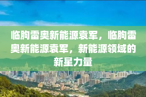 臨朐雷奧新能源袁軍，臨朐雷奧新能源袁軍，新能源領(lǐng)域的新星力量