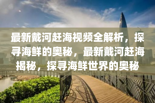 最新戴河趕海視頻全解析，探尋海鮮的奧秘，最新戴河趕海揭秘，探尋海鮮世界的奧秘