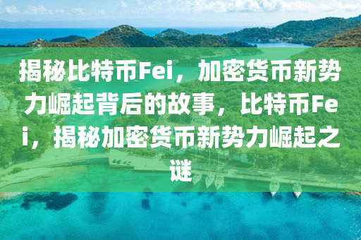 揭秘比特幣Fei，加密貨幣新勢(shì)力崛起背后的故事，比特幣Fei，揭秘加密貨幣新勢(shì)力崛起之謎