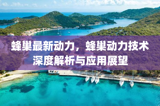 蜂巢最新動(dòng)力，蜂巢動(dòng)力技術(shù)深度解析與應(yīng)用展望