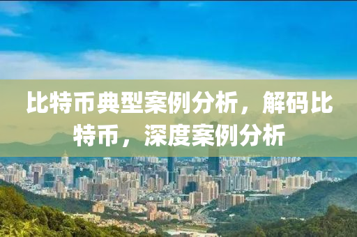 比特幣典型案例分析，解碼比特幣，深度案例分析