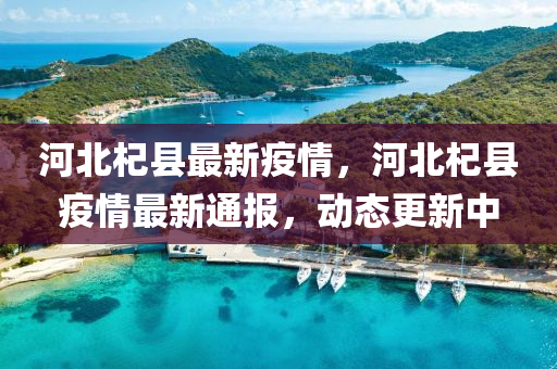 河北杞縣最新疫情，河北杞縣疫情最新通報(bào)，動(dòng)態(tài)更新中