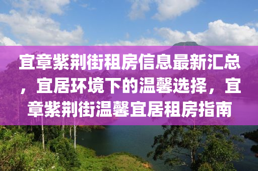宜章紫荊街租房信息最新匯總，宜居環(huán)境下的溫馨選擇，宜章紫荊街溫馨宜居租房指南