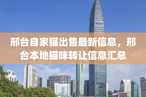 邢臺(tái)自家貓出售最新信息，邢臺(tái)本地貓咪轉(zhuǎn)讓信息匯總