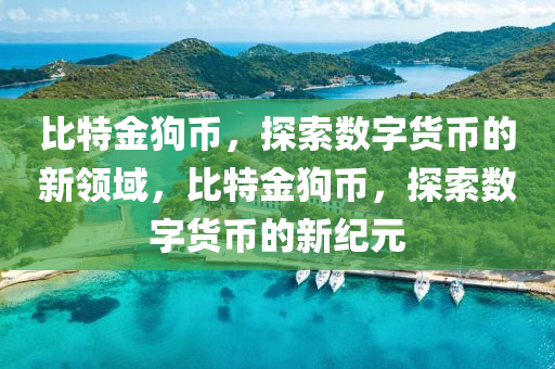比特金狗幣，探索數(shù)字貨幣的新領(lǐng)域，比特金狗幣，探索數(shù)字貨幣的新紀(jì)元