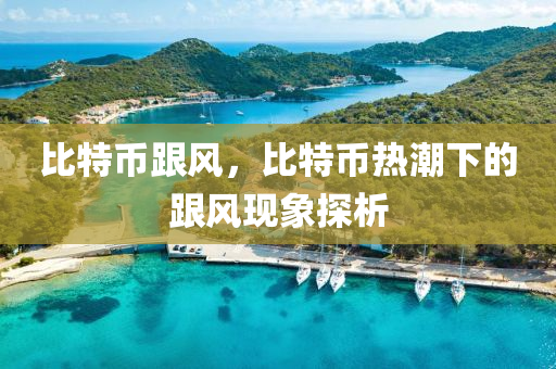 比特幣跟風，比特幣熱潮下的跟風現(xiàn)象探析