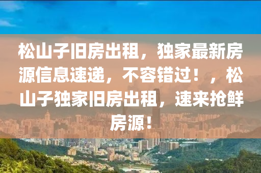 松山子舊房出租，獨家最新房源信息速遞，不容錯過！，松山子獨家舊房出租，速來搶鮮房源！