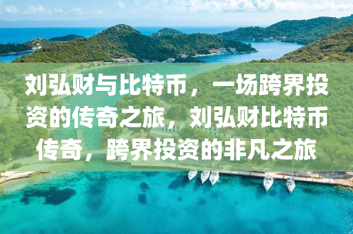 劉弘財(cái)與比特幣，一場(chǎng)跨界投資的傳奇之旅，劉弘財(cái)比特幣傳奇，跨界投資的非凡之旅