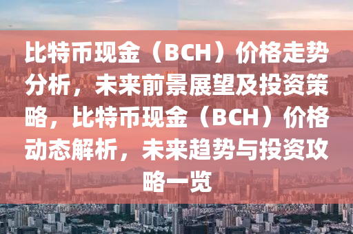 比特幣現(xiàn)金（BCH）價格走勢分析，未來前景展望及投資策略，比特幣現(xiàn)金（BCH）價格動態(tài)解析，未來趨勢與投資攻略一覽