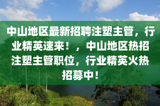 中山地區(qū)最新招聘注塑主管，行業(yè)精英速來！，中山地區(qū)熱招注塑主管職位，行業(yè)精英火熱招募中！