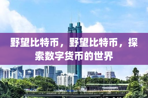 野望比特幣，野望比特幣，探索數(shù)字貨幣的世界