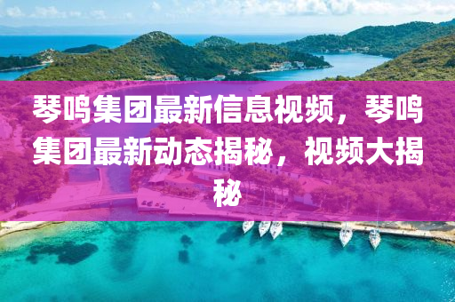 琴鳴集團最新信息視頻，琴鳴集團最新動態(tài)揭秘，視頻大揭秘