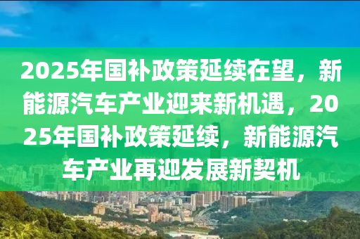 2025年國補政策延續(xù)在望，新能源汽車產業(yè)迎來新機遇，2025年國補政策延續(xù)，新能源汽車產業(yè)再迎發(fā)展新契機
