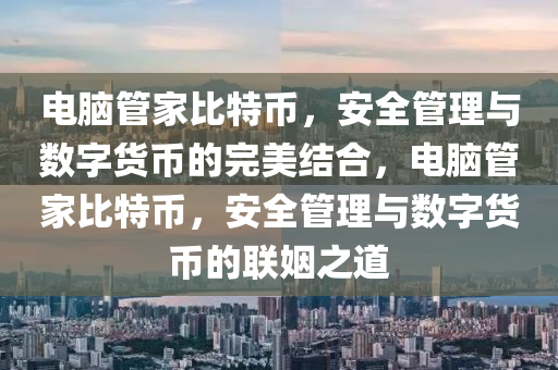 電腦管家比特幣，安全管理與數(shù)字貨幣的完美結(jié)合，電腦管家比特幣，安全管理與數(shù)字貨幣的聯(lián)姻之道