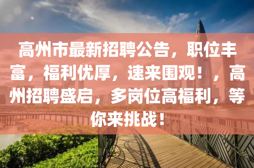 高州市最新招聘公告，職位豐富，福利優(yōu)厚，速來圍觀！，高州招聘盛啟，多崗位高福利，等你來挑戰(zhàn)！