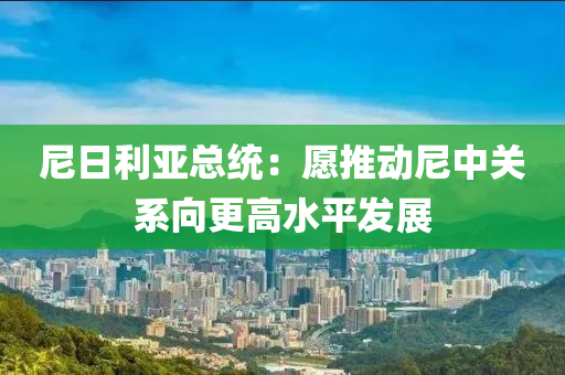 尼日利亞總統(tǒng)：愿推動尼中關(guān)系向更高水平發(fā)展