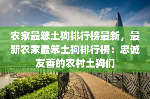 農(nóng)家最笨土狗排行榜最新，最新農(nóng)家最笨土狗排行榜：忠誠友善的農(nóng)村土狗們