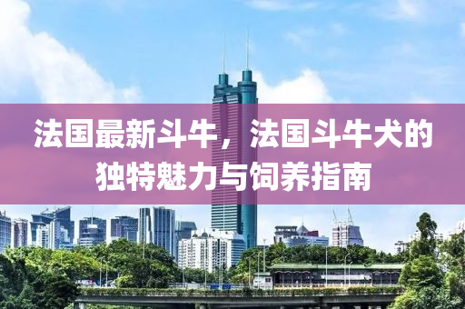 法國最新斗牛，法國斗牛犬的獨特魅力與飼養(yǎng)指南