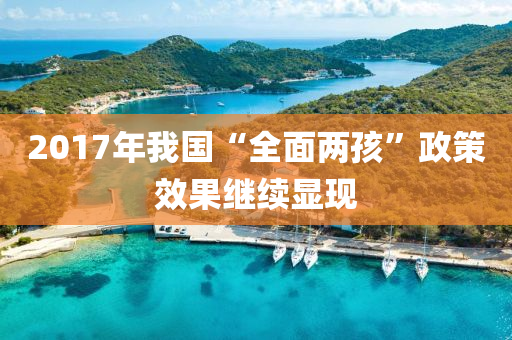 2017年我國“全面兩孩”政策效果繼續(xù)顯現(xiàn)