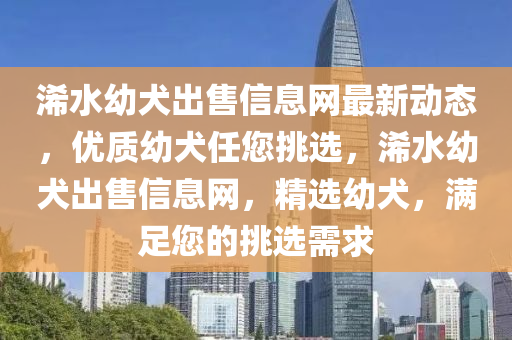 浠水幼犬出售信息網(wǎng)最新動態(tài)，優(yōu)質幼犬任您挑選，浠水幼犬出售信息網(wǎng)，精選幼犬，滿足您的挑選需求
