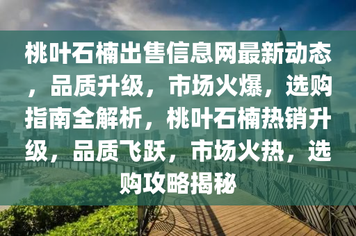 桃葉石楠出售信息網(wǎng)最新動態(tài)，品質升級，市場火爆，選購指南全解析，桃葉石楠熱銷升級，品質飛躍，市場火熱，選購攻略揭秘