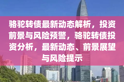 駱駝轉(zhuǎn)債最新動(dòng)態(tài)解析，投資前景與風(fēng)險(xiǎn)預(yù)警，駱駝轉(zhuǎn)債投資分析，最新動(dòng)態(tài)、前景展望與風(fēng)險(xiǎn)提示