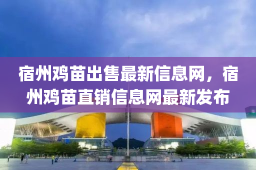 宿州雞苗出售最新信息網(wǎng)，宿州雞苗直銷信息網(wǎng)最新發(fā)布