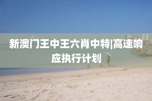 新澳門(mén)王中王六肖中特|高速響應(yīng)執(zhí)行計(jì)劃