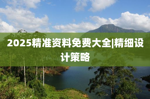 2025精準(zhǔn)資料免費(fèi)大全|精細(xì)設(shè)計策略