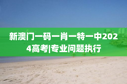 新澳門一碼一肖一特一中2024高考|專業(yè)問題執(zhí)行