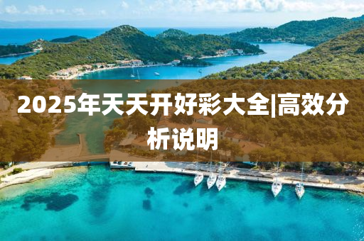 2025年天天開好彩大全|高效分析說明