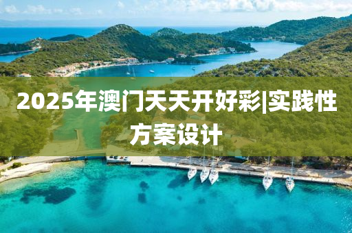 2025年澳門天天開好彩|實踐性方案設計