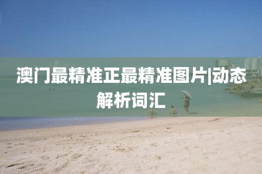 澳門(mén)最精準(zhǔn)正最精準(zhǔn)圖片|動(dòng)態(tài)解析詞匯