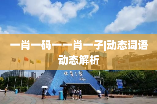 一肖一碼一一肖一子|動(dòng)態(tài)詞語(yǔ)動(dòng)態(tài)解析