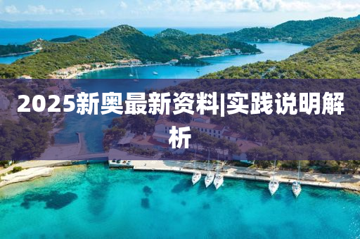 2025新奧最新資料|實踐說明解析