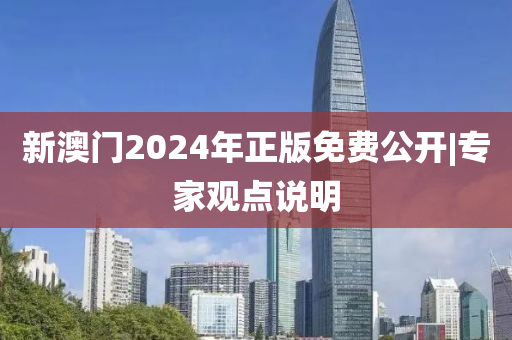 新澳門2024年正版免費公開|專家觀點說明