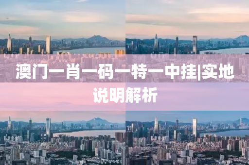 澳門一肖一碼一特一中掛|實(shí)地說明解析