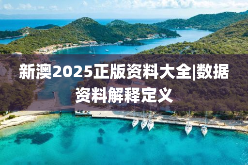 新澳2025正版資料大全|數(shù)據(jù)資料解釋定義