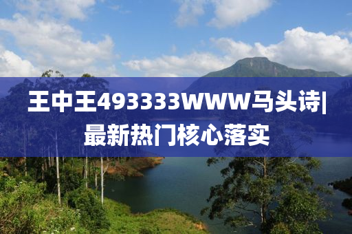 王中王493333WWW馬頭詩(shī)|最新熱門(mén)核心落實(shí)