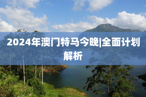 2024年澳門特馬今晚|全面計劃解析