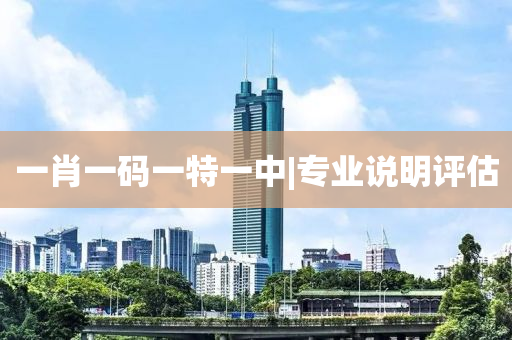 一肖一碼一特一中|專業(yè)說明評(píng)估