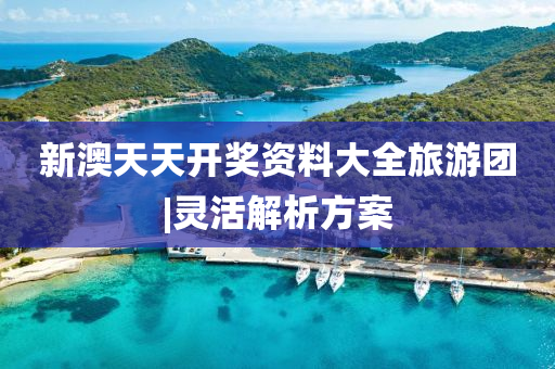 新澳天天開獎資料大全旅游團|靈活解析方案