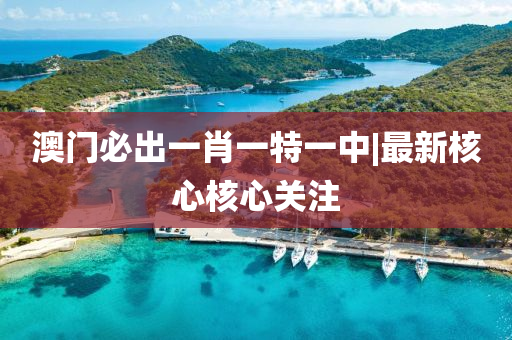澳門必出一肖一特一中|最新核心核心關(guān)注
