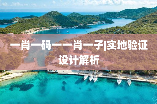 一肖一碼一一肖一子|實地驗證設(shè)計解析