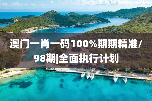 澳門一肖一碼100%期期精準(zhǔn)/98期|全面執(zhí)行計(jì)劃